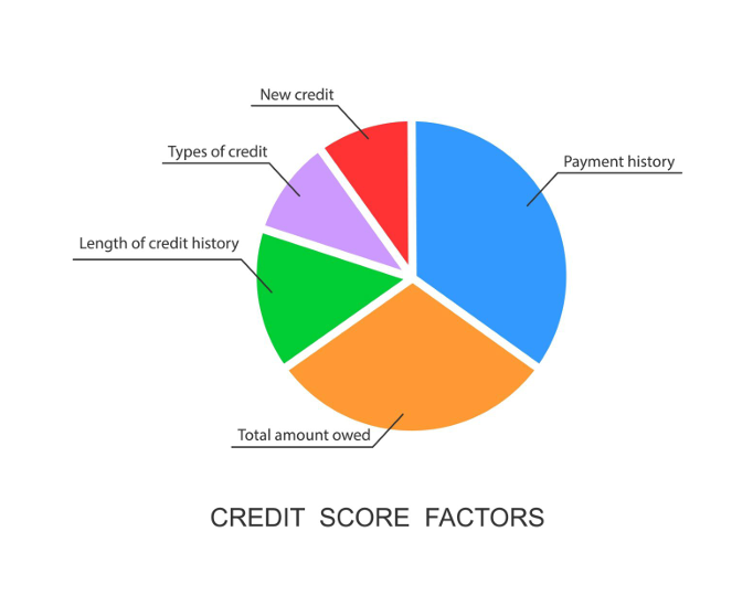Credit Score Pie Chart